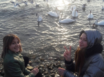Экскурсия «В гости к белым лебедям»