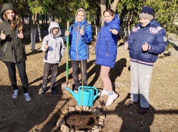 «Сдай макулатуру – спаси дерево»: Всероссийский эко-марафон