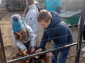 Центр Помощи бездомным животным «Восточный Крым»